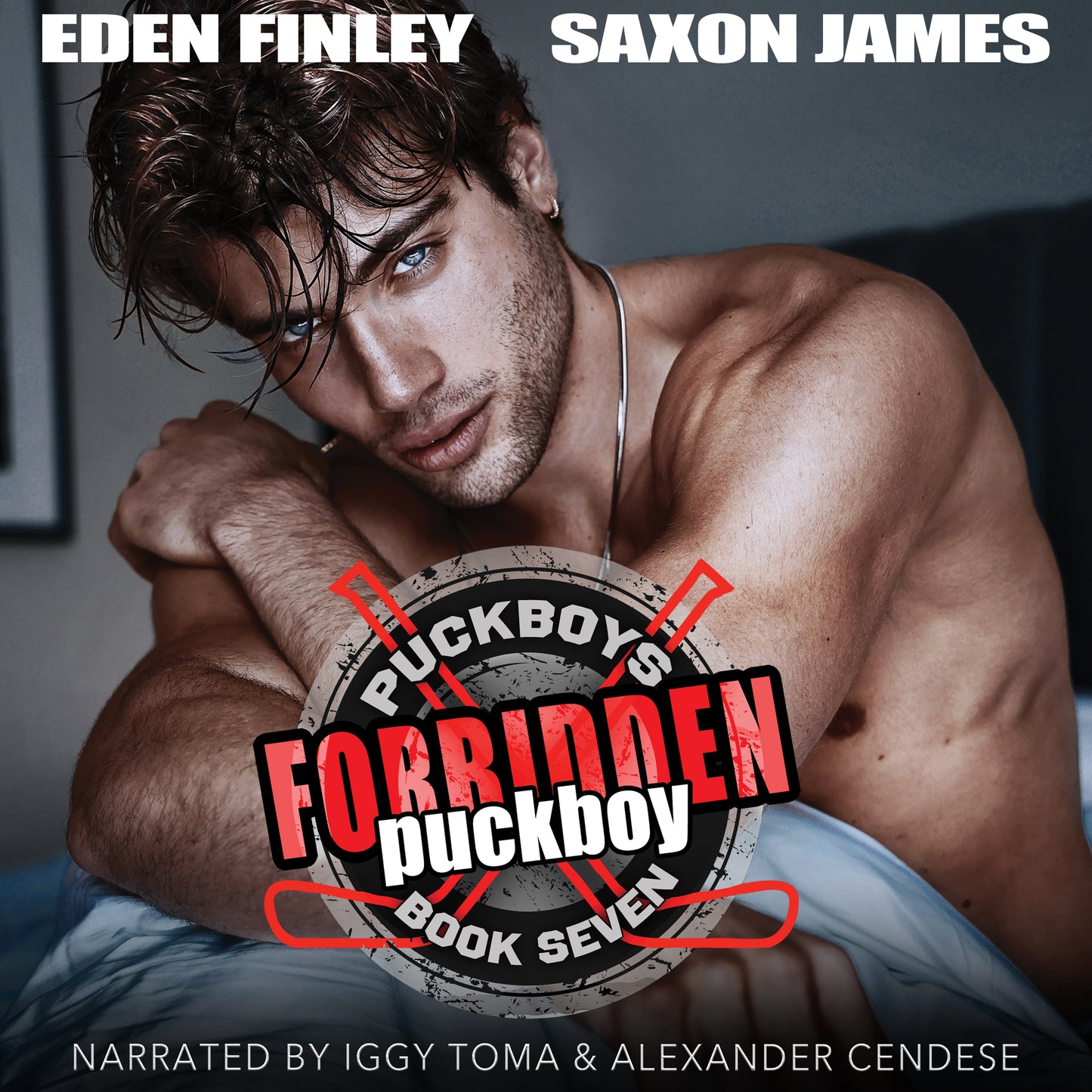 Forbidden Puckboy Audiobook