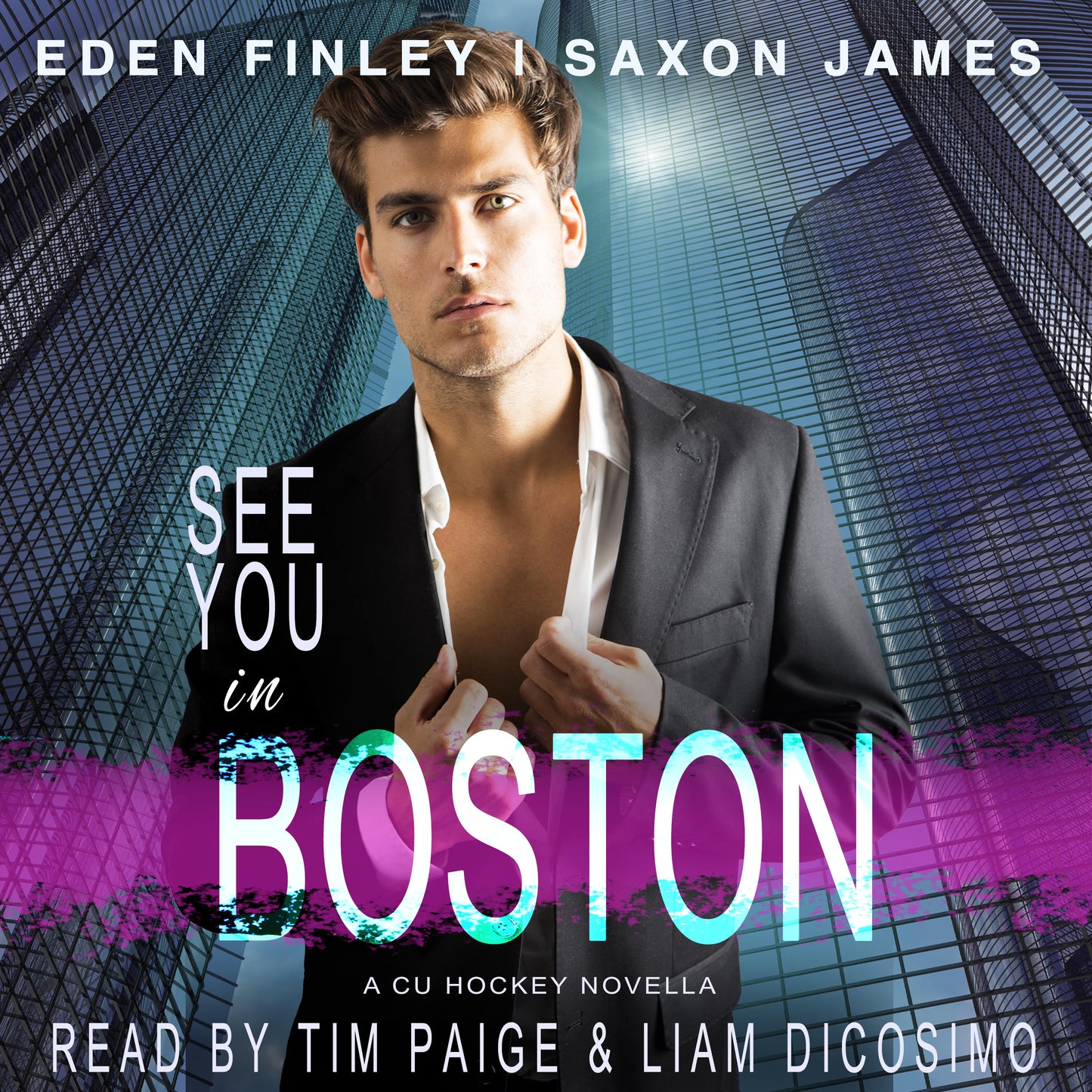 See You In Boston Audiobook