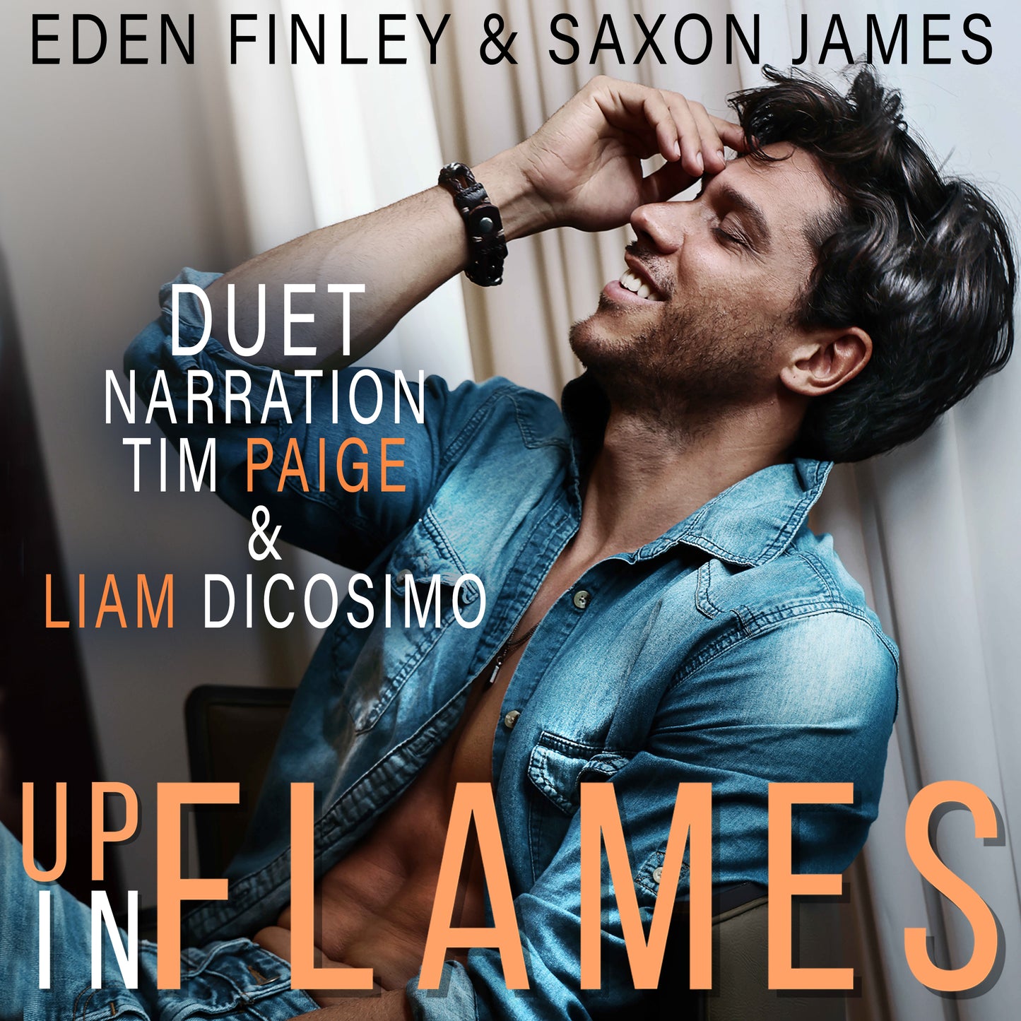 Up in Flames Audiobook